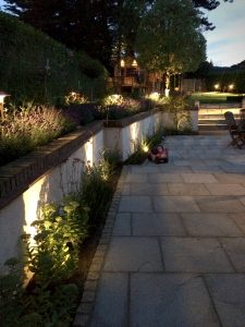 Garden plant lights by Hex Lighting